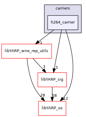 src/carriers/h264_carrier